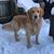 Denise Lengle's profile image