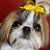 Lois Straw's profile image
