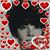 Judith Nierenstein Lugris's profile image