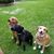 Beverlee Flowers's profile image