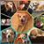Christina Wetjen Briggs's profile image