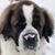 Theresa Trumbull's profile image