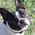Victoria Chinana's profile image