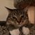 Kay Marie Milhoan's profile image