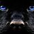 Kelly Lloyd Jennings's profile image
