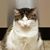 Kathy Kruse Taylor's profile image