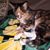 Sandra Ryan's profile image