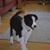 Beverly Beans's profile image