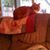 Margaret M Heck Kight's profile image