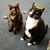 Dollie Lacombe's profile image