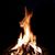Connie Plumb's profile image