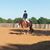 Tammy Zimmerman Reed's profile image