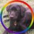 Alana Forrest's profile image