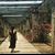 Maryam Hajo's profile image