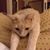 Peggy Sue Leifer's profile image