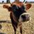 NhLiz Guinn Miller's profile image