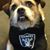 Marcus Swinford's profile image