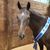 Emily A. Bullard-Clough's profile image