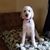 Jackie Maccullough's profile image