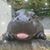 Cathy Hammel's profile image