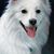 Lynn Shuppel's profile image