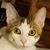 Shelly Martin's profile image