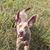 Michael Dettman's profile image