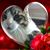 Evelyne Perry's profile image
