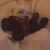 Lin Hayter's profile image
