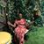 Tiffany Smith's profile image