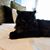 Vickie Hocking's profile image