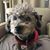 Chrisi Rogers's profile image