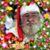 Dennis R. Fox's profile image