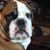 Cyndi Rokahr Johnson's profile image