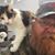 Mark Johnston's profile image