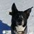 Tricia Lindquist's profile image