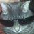 Chuck Skaggs's profile image