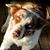 Lisa Ecker's profile image