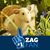 Sandra Lee Lavino's profile image