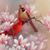Sharon Seifers's profile image