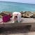 Gilda Gomez D'Ambrosi's profile image