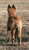 Darlene H.'s profile image