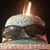 Bill Bird Jr.'s profile image