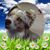 Lenore Carlson's profile image