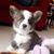 Mary Ann Zvolensky's profile image