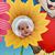 Debbie Menta Loftus's profile image