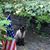Heather Lynn Clark's profile image