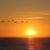 Maria De Los Angeles Quintana Fdez's profile image