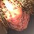 Tanya Waters Lambright's profile image