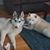 Holly Gravier's profile image